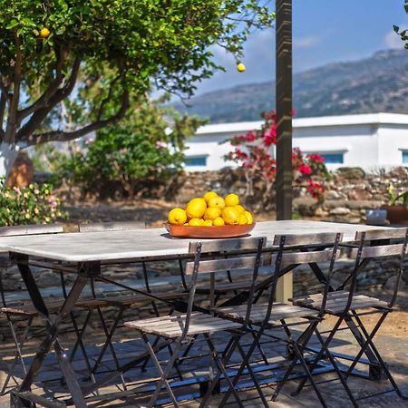 הוילה Ándros Lemoni House מראה חיצוני תמונה