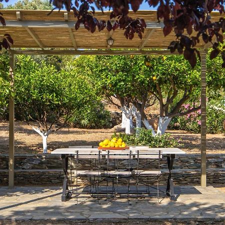 הוילה Ándros Lemoni House מראה חיצוני תמונה